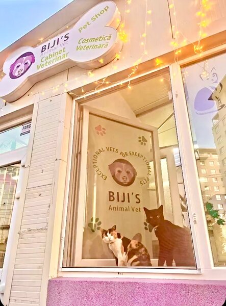 Biji's Animal Vet - Cabinet Veterinar Dr. Emma Alexandra Marcu